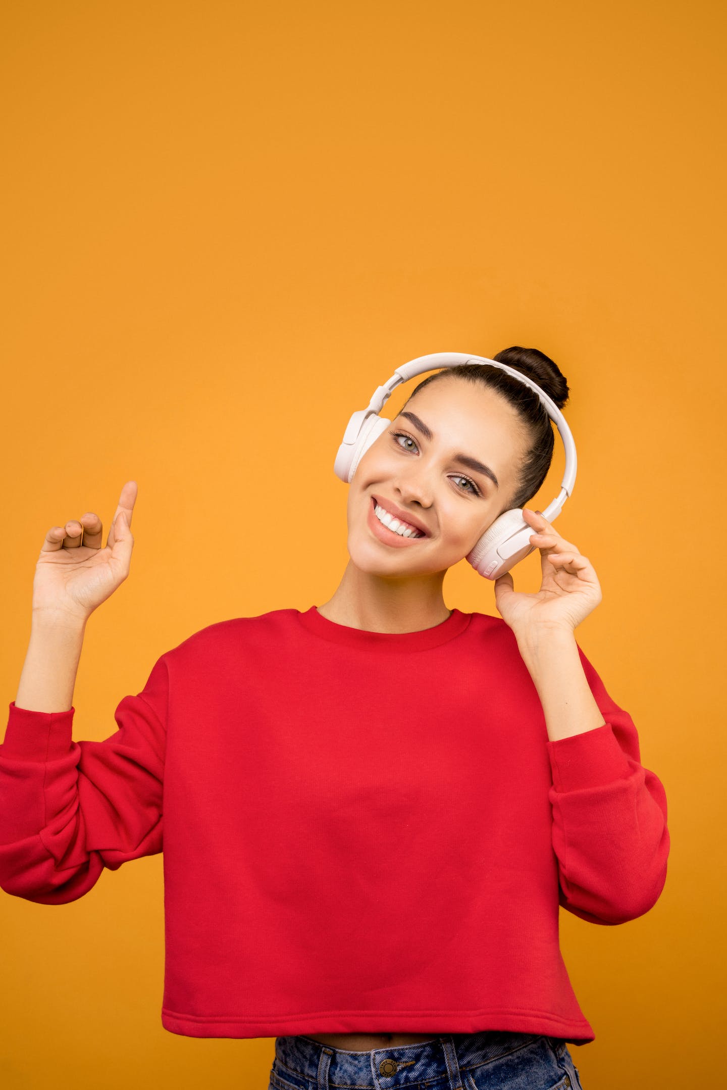 DistroKid platform interface