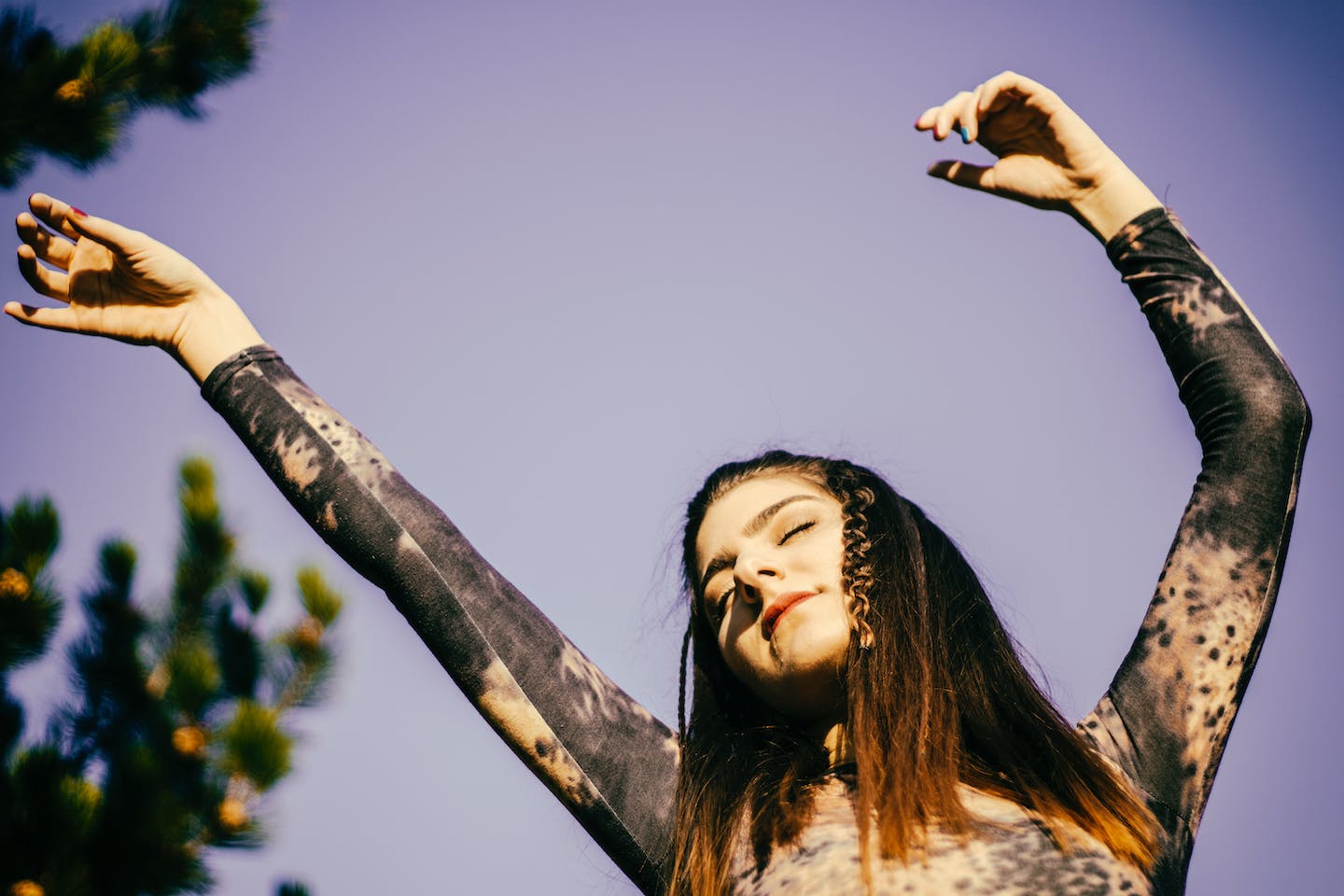 Music distribution platforms dashboard representation